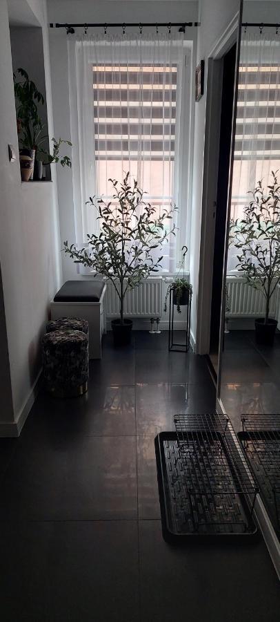 Apartamenty Magvel 什切青 外观 照片